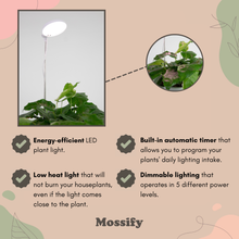 Load image into Gallery viewer, Adjustable LED Plant Light: White