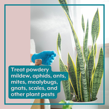 Load image into Gallery viewer, Natural Houseplant Pest Control - Peppermint Leaf Spray