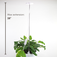 Load image into Gallery viewer, Adjustable LED Plant Light: White