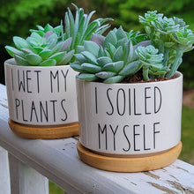 Load image into Gallery viewer, Funny Succulent Pots - White Ceramic Plant Pot: I Will Survive