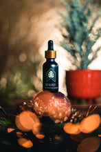 Load image into Gallery viewer, Boost - Premium Organic Plant Fertilizer