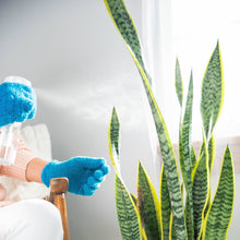 Load image into Gallery viewer, Micro-Fiber Gloves for Cleaning Houseplants + Indoor Gardens