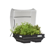 Load image into Gallery viewer, Vegepod - Medium with vegecover 39" x 39"