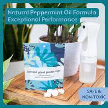 Load image into Gallery viewer, Natural Houseplant Pest Control - Peppermint Leaf Spray