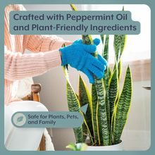 Load image into Gallery viewer, Natural Houseplant Pest Control - Peppermint Leaf Spray