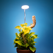 Load image into Gallery viewer, Adjustable LED Plant Light: White
