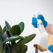 Load image into Gallery viewer, Plant Sprayer for Leaf Cleaning and Indoor Pest Control
