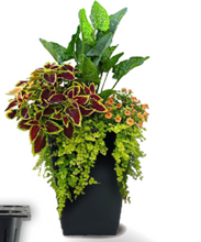 Load image into Gallery viewer, 16" Joanna Square with Water Saver Black