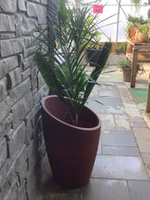 Load image into Gallery viewer, Modern Uno planter - Wine