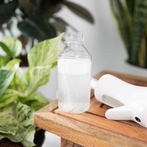 Plant Sprayer for Leaf Cleaning and Indoor Pest Control
