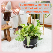 Load image into Gallery viewer, Potting Soil Revitalizer | Mycorrhizae + Humic Acids
