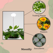 Load image into Gallery viewer, Adjustable LED Plant Light: White
