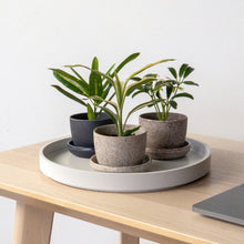 Load image into Gallery viewer, 3&quot; Upcycled Mini Planters: Bamboo Fibre (Black)
