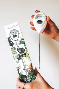 Moisture Meter