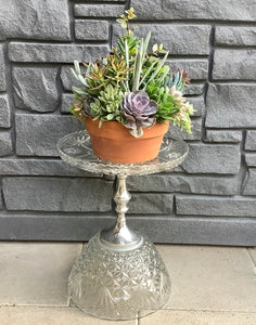 COA Large Crystal Plant Stand