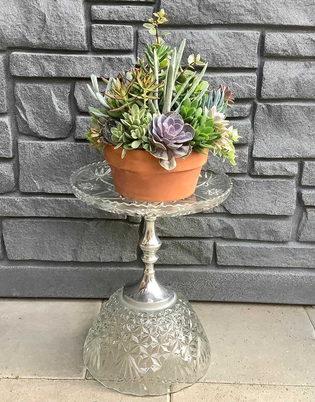COA Large Crystal Plant Stand
