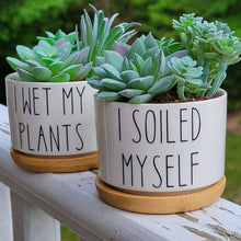 Load image into Gallery viewer, Funny Succulent Pots - White Ceramic Plant Pot: I Will Survive

