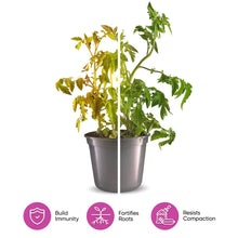 Load image into Gallery viewer, Molly&#39;s Orchid Mix - Premium Soilless Potting Mix: 5 Dry Quarts (5.5L)
