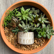 Load image into Gallery viewer, Funny Succulent Pots - White Ceramic Plant Pot: What The Fucculent

