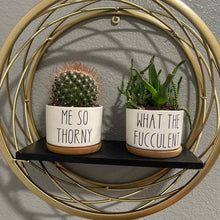 Load image into Gallery viewer, Funny Succulent Pots - White Ceramic Plant Pot: What The Fucculent

