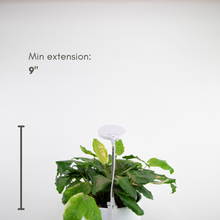 Load image into Gallery viewer, Adjustable LED Plant Light: White
