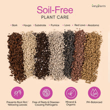 Load image into Gallery viewer, Molly&#39;s Orchid Mix - Premium Soilless Potting Mix: 5 Dry Quarts (5.5L)
