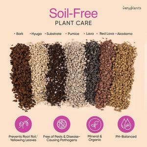Molly's Orchid Mix - Premium Soilless Potting Mix: 5 Dry Quarts (5.5L)