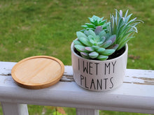 Load image into Gallery viewer, Funny Succulent Pots - White Ceramic Plant Pot: I Will Survive
