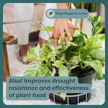 Load image into Gallery viewer, Potting Soil Revitalizer | Mycorrhizae + Humic Acids
