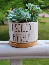 Load image into Gallery viewer, Funny Succulent Pots - White Ceramic Plant Pot: I Will Survive
