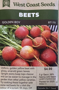 Beets - Golden Boy