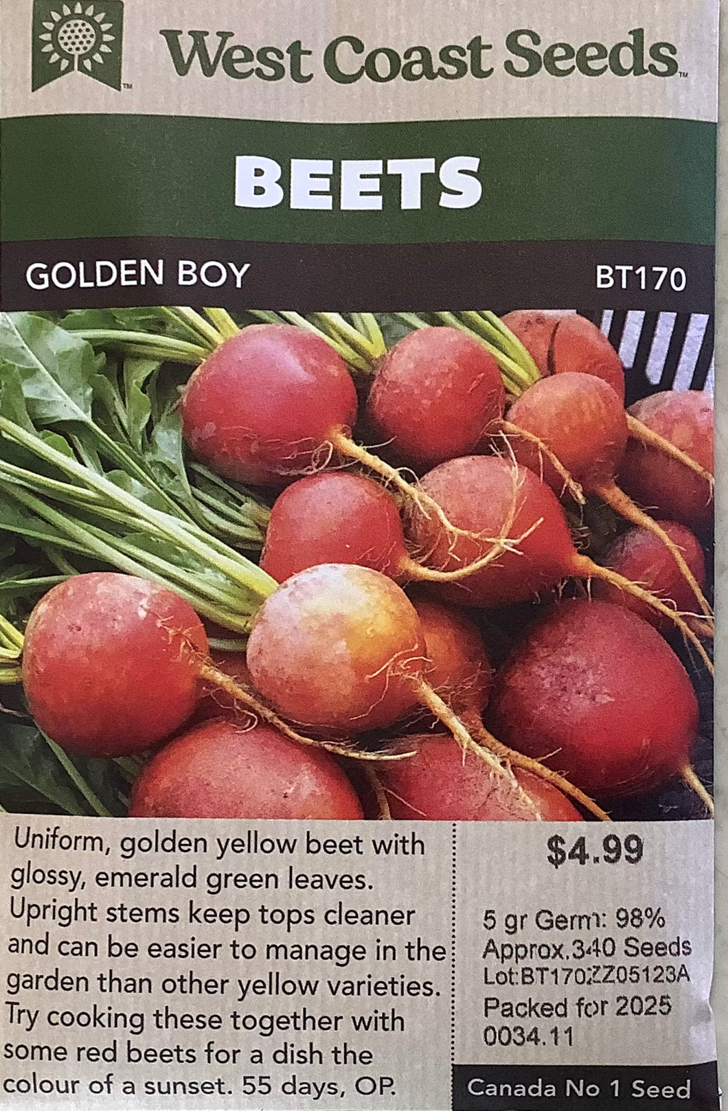 Beets - Golden Boy