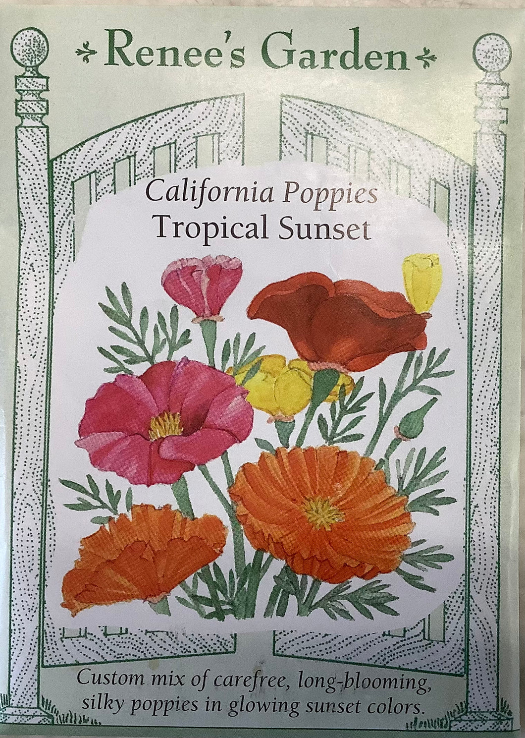 Poppies - California Tropical Sunset