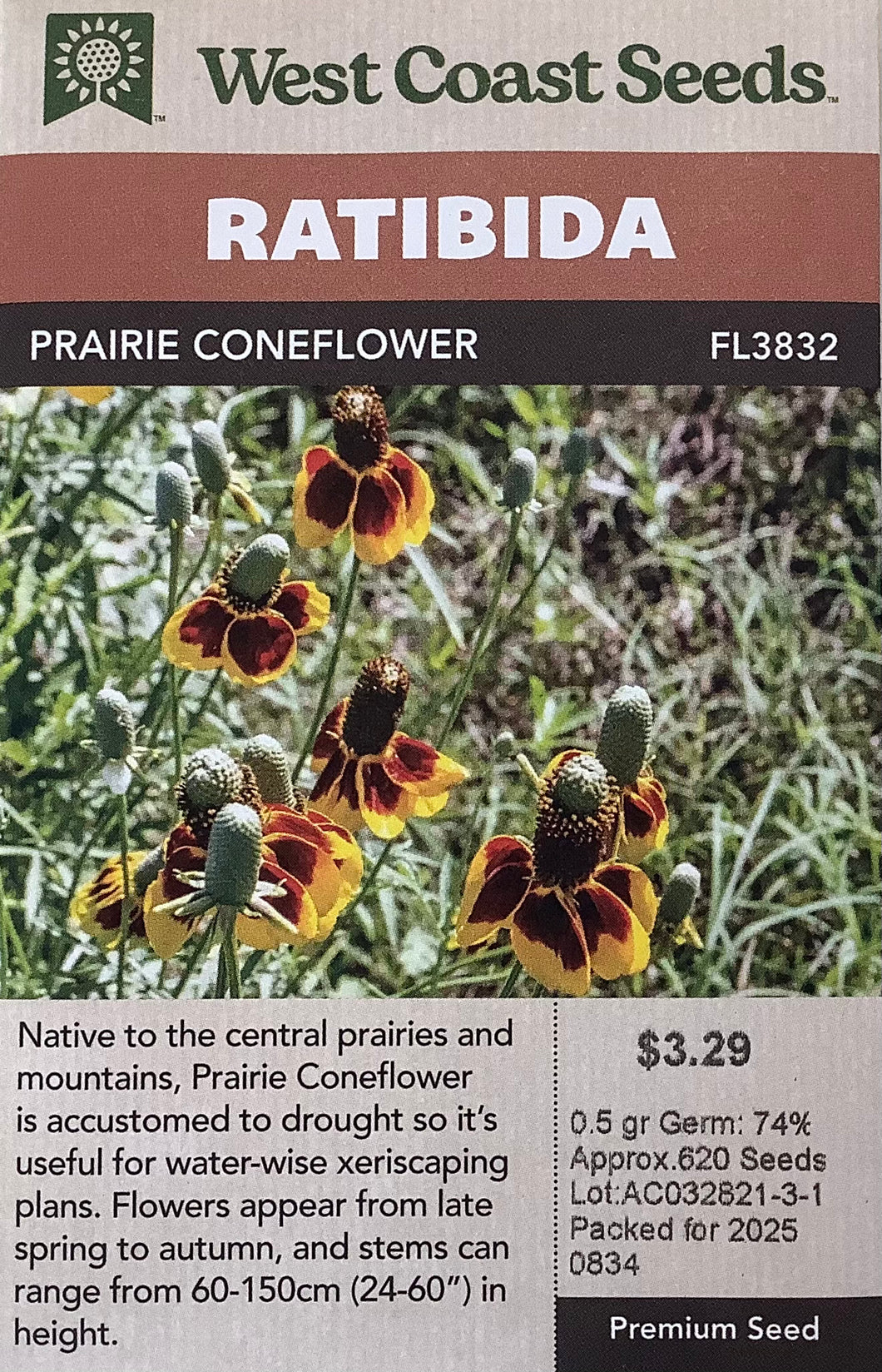 Ratibida - Prairie Coneflower