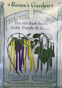 Bush Beans - Tricolor