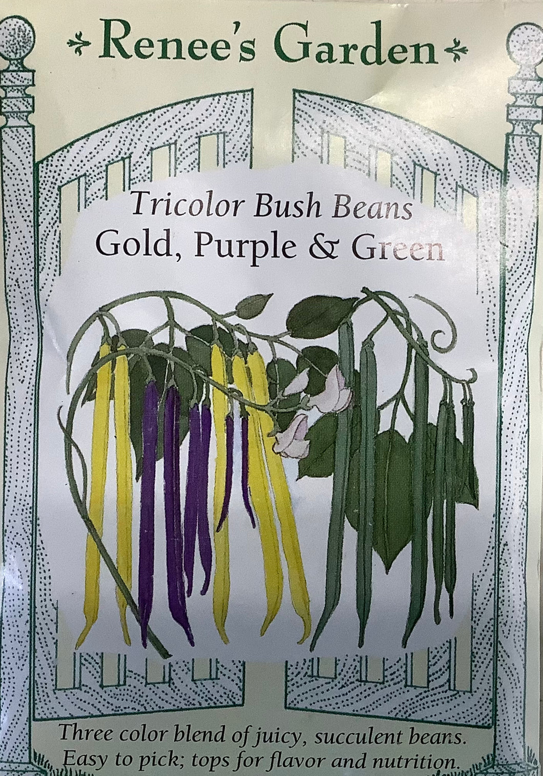 Bush Beans - Tricolor