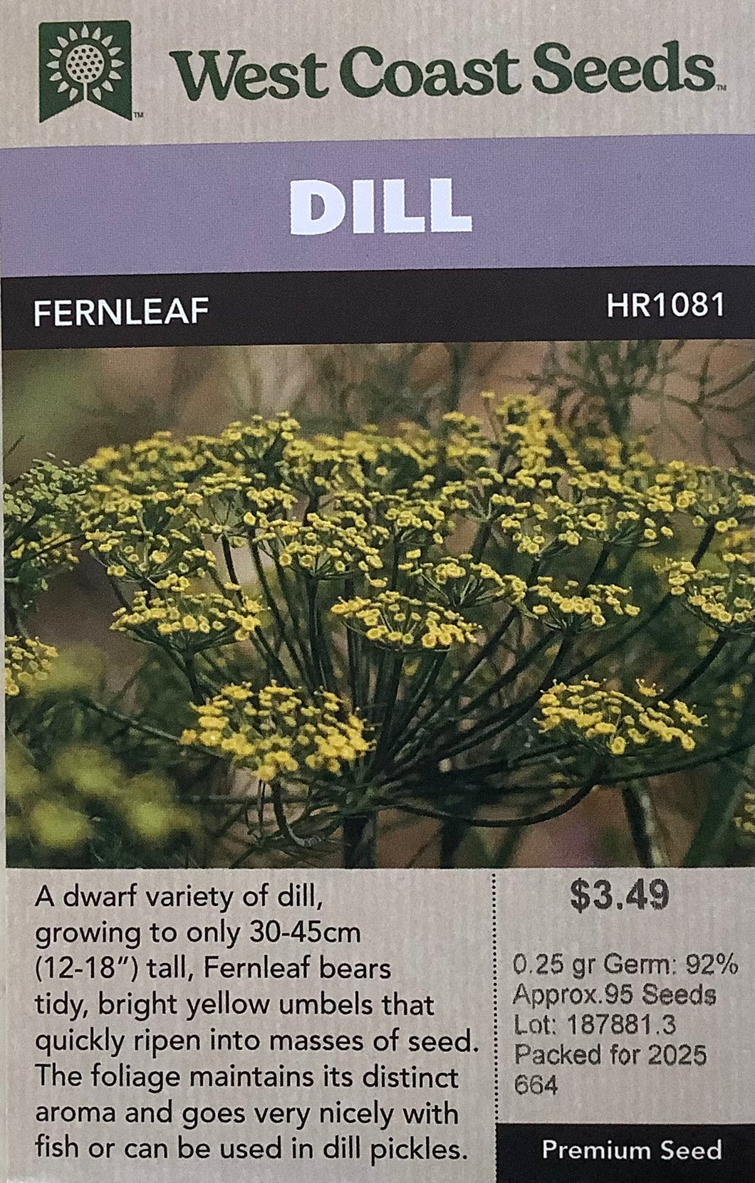 Dill - Bouquet
