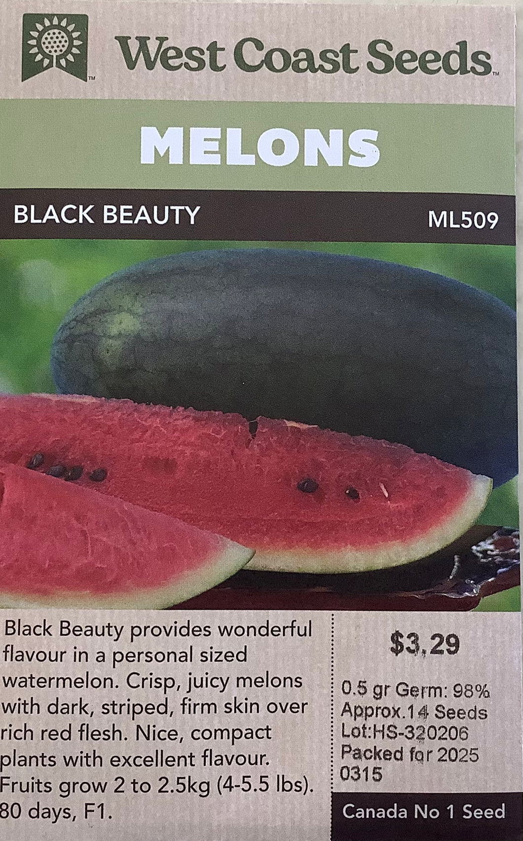 Watermelon - Black Beauty Mini