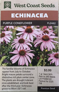 Echinacea - Coneflowers Purple