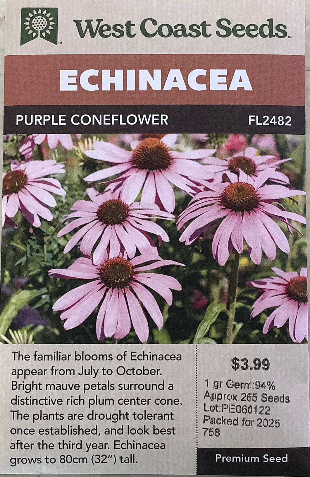 Echinacea - Coneflowers Purple