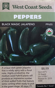 Peppers - Black Magic Jalapeno Certified Organic