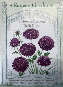 Scabiosa - Heirloom Dark Night
