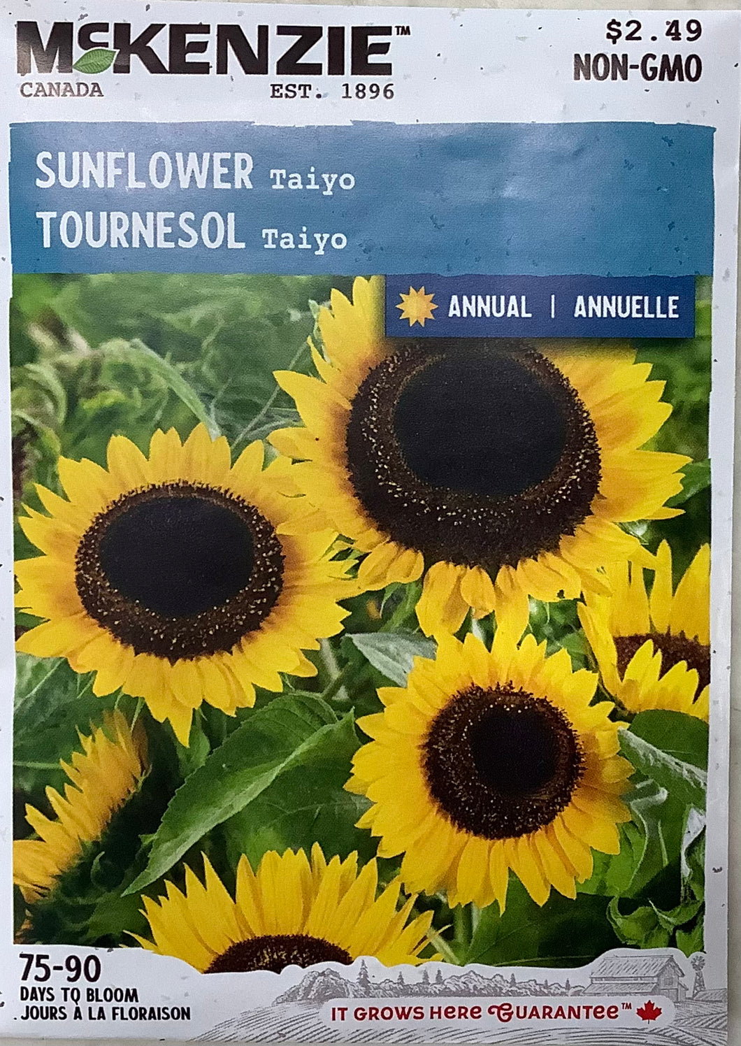 McKenzie Seeds- Sunflower: Taiyo
