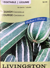 Load image into Gallery viewer, Livingston Heirloom Non-GMO Squash: Cocozelle
