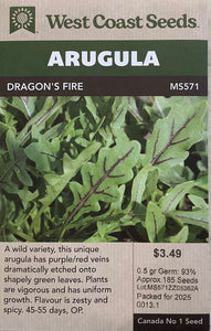 Arugula- Dragon's Fire