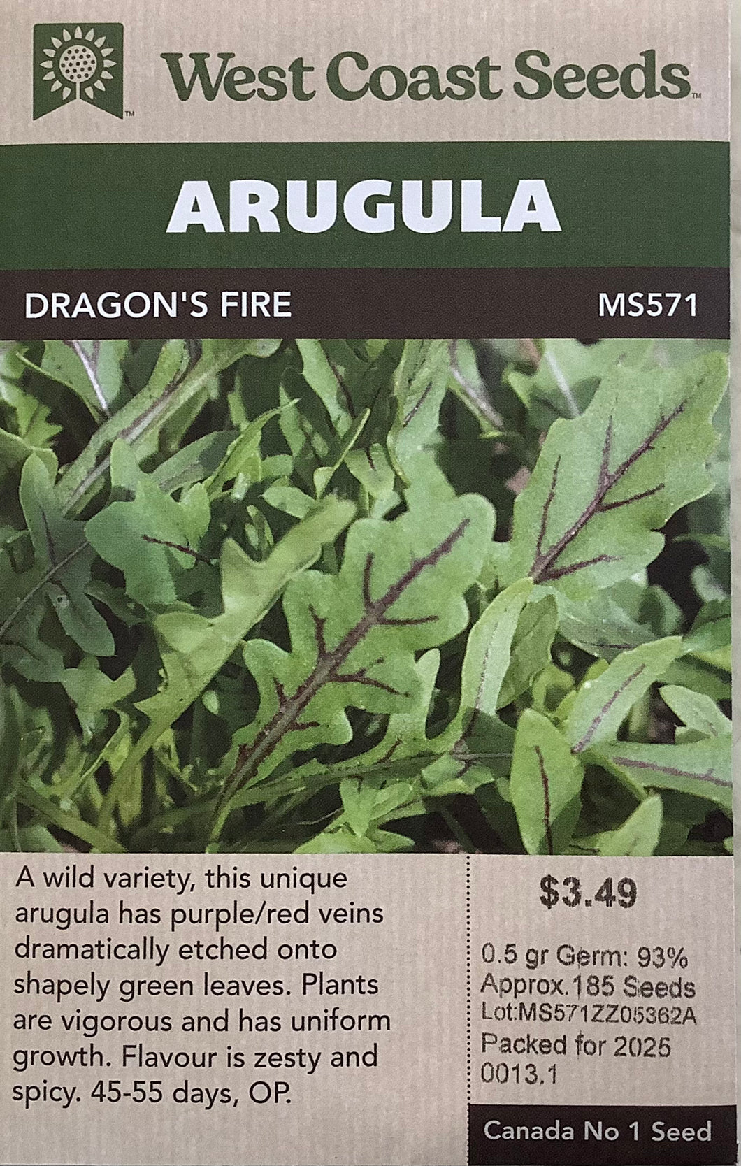 Arugula- Dragon's Fire