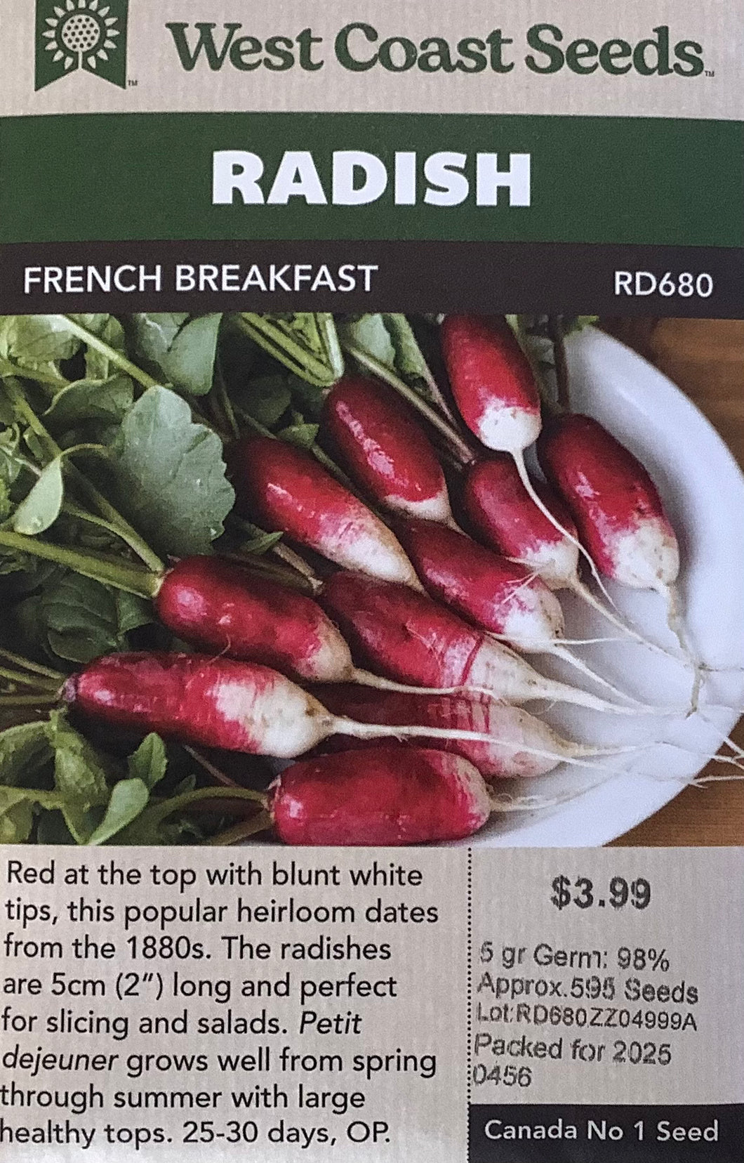Radishes - French Breakfast