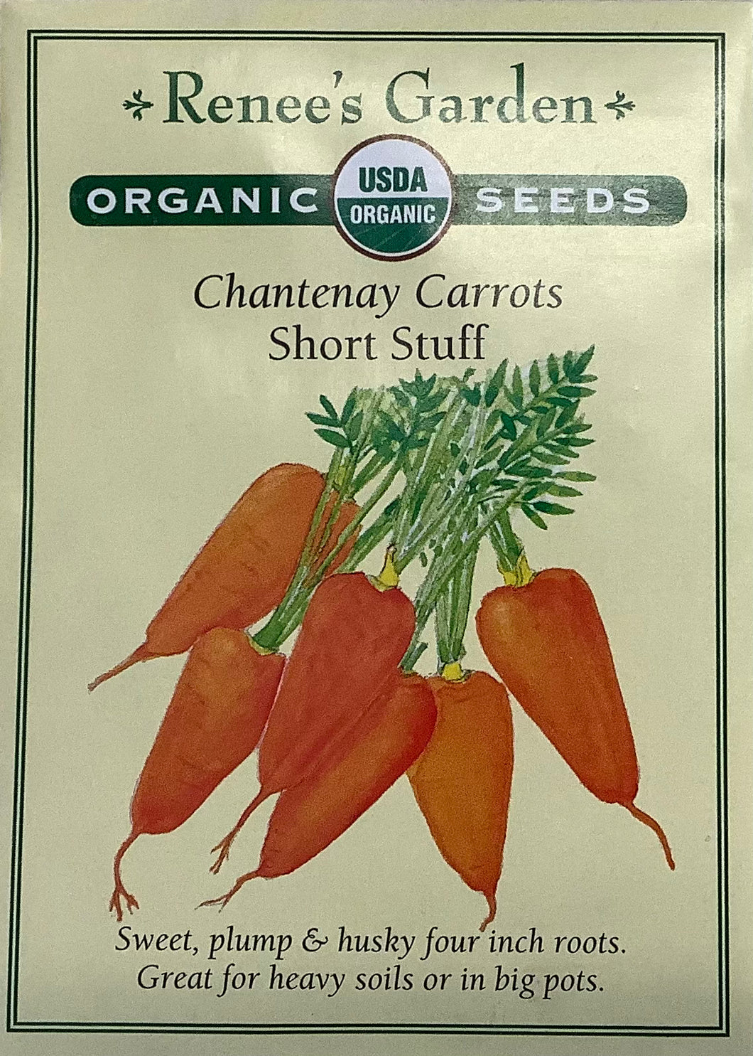 Carrot - Chantenay Short Stuff Organic