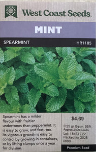 Mint - Spearmint