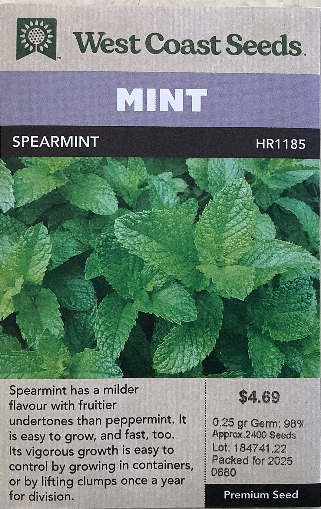 Mint - Spearmint